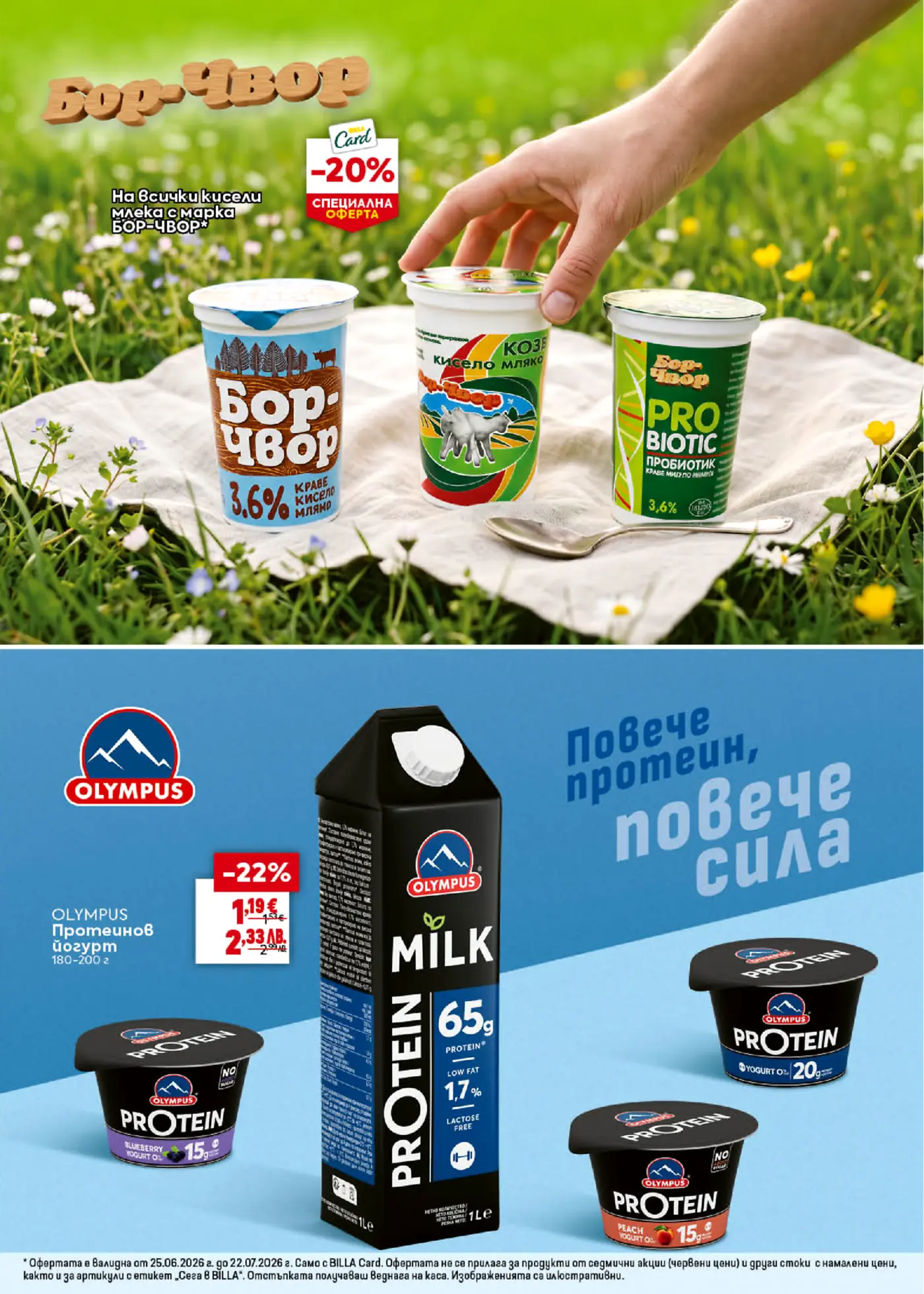 Страница от брошура с предложения за кисели млека и протеинови продукти. В горната част на зелен фон са показани три кофички кисело мляко "Бор-Чвор" – краве, козе и пробиотично – с промоция от 20% отстъпка за всички продукти от марката. В долната част на син фон са представени протеинови продукти "OLYMPUS": протеинов йогурт 180-200 г на цена 1.19 EUR (-22% отстъпка), 1 литър протеиново мляко и няколко вида протеинови йогурти с различни вкусове като боровинка, праскова и ягода.