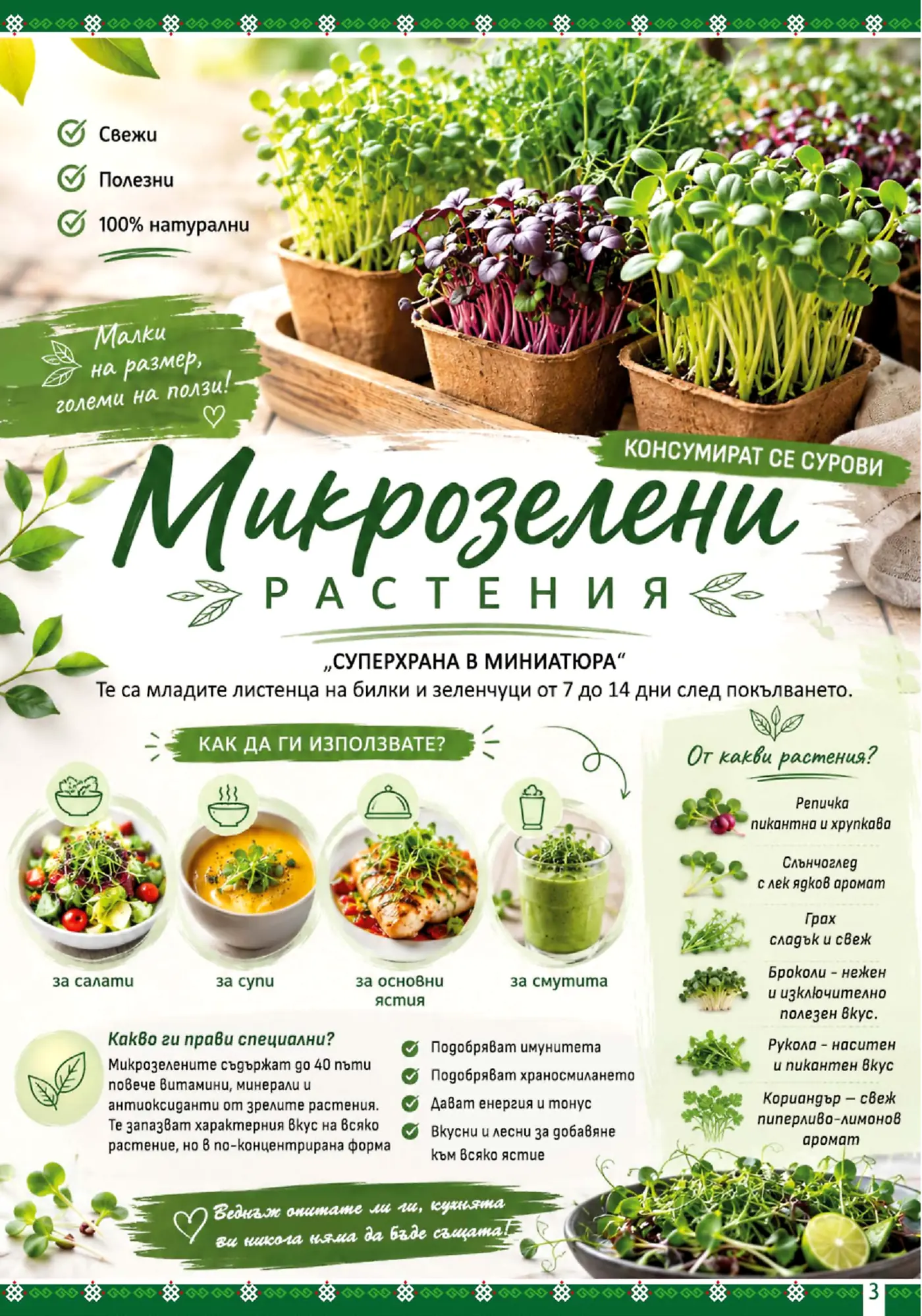 Брошурна страница, посветена на микрозелените растения, показваща различни видове като репичка, слънчоглед и броколи в малки саксии, както и примери за ястия като салати, супи и смутита, обогатени с микрозелени. Текстът описва ползите им като 'суперхрана в миниатюра', подчертавайки високата им хранителна стойност, 100% натурален произход и начини на употреба.
