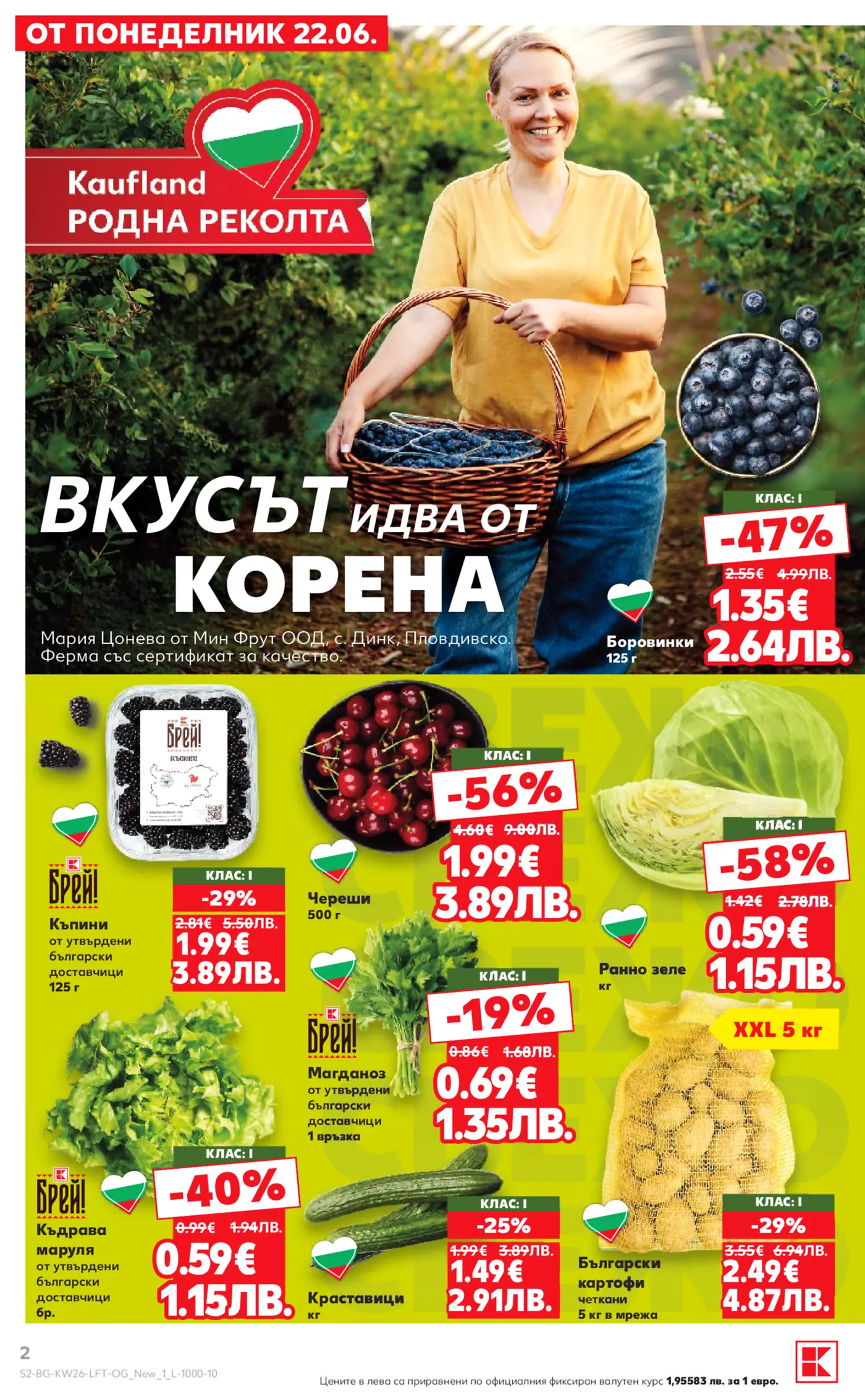 Жена фермер държи кошница с боровинки на фона на нива, заобиколена от свежи български плодове и зеленчуци като къпини, череши, зеле, магданоз, маруля, краставици и картофи, промотиращи кампанията 'Kaufland Родна Реколта'.