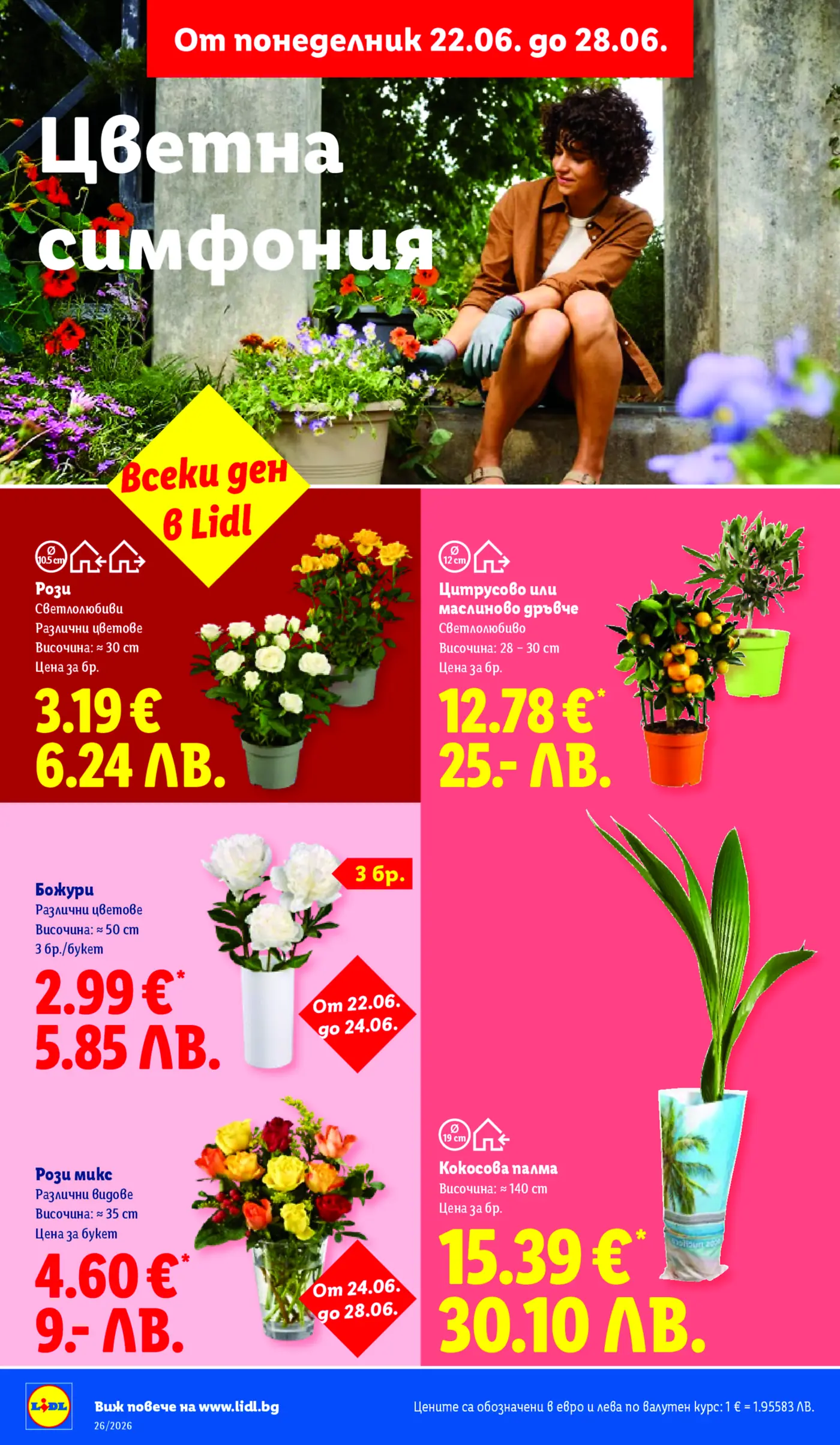 Страница от брошура на Lidl с предложение 'Цветна симфония', показваща жена, която сади цветя в градината, и рекламираща различни цветя и дръвчета като рози, цитрусови и маслинови дръвчета, божури, микс от рози и кокосова палма на промоционални цени от 22.06. до 28.06.