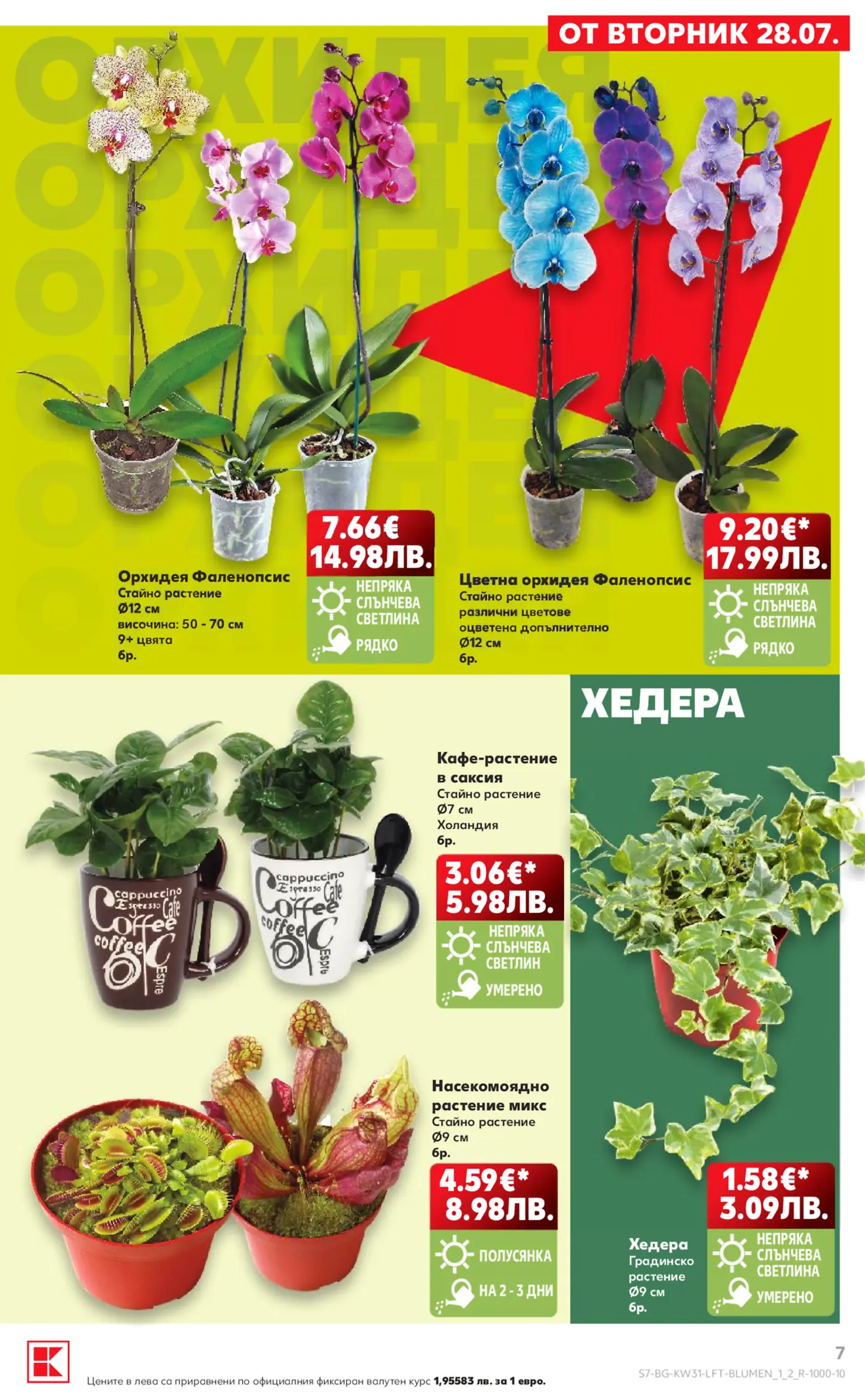 Страница с цветя и растения от рекламна брошура