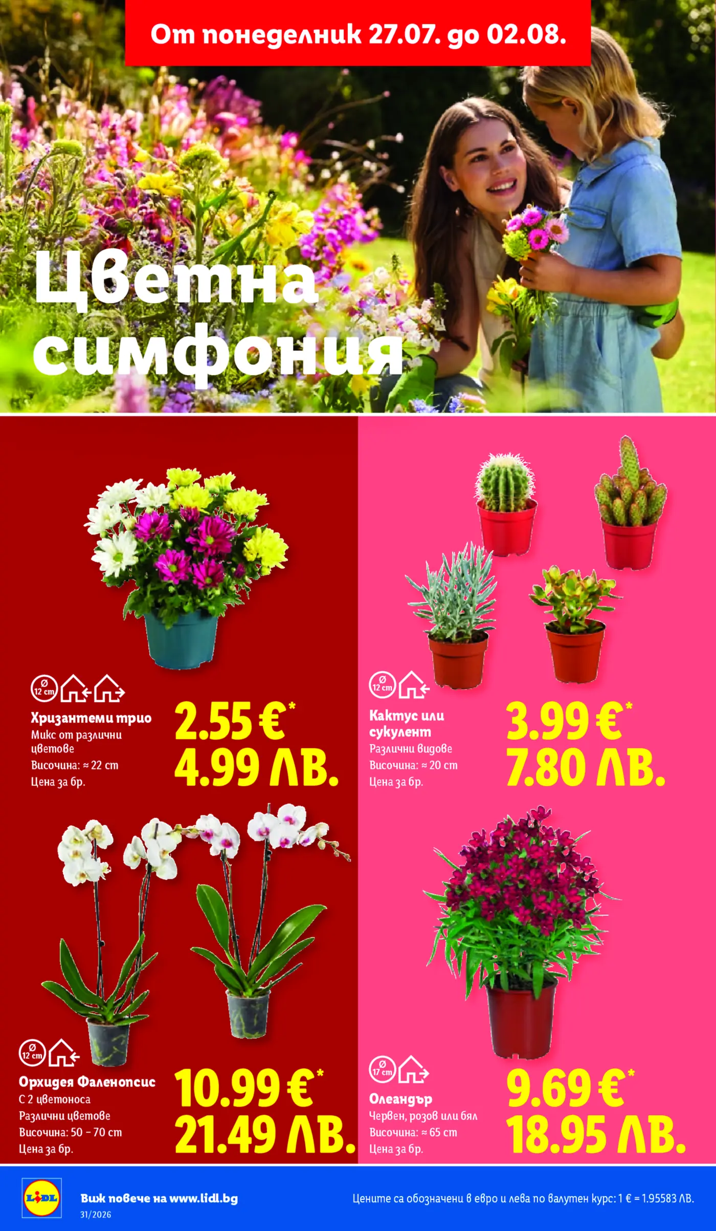 Страница с промоция на цветя и растения от брошура на Лидл