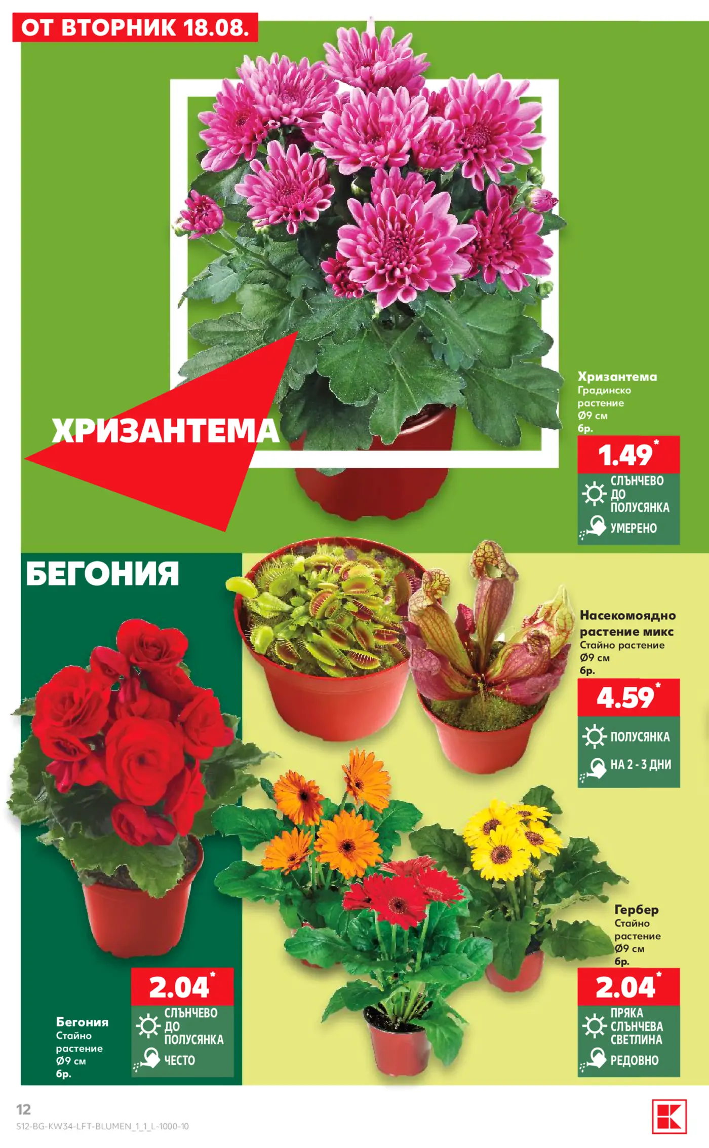 Страница от брошура с цветя и растения