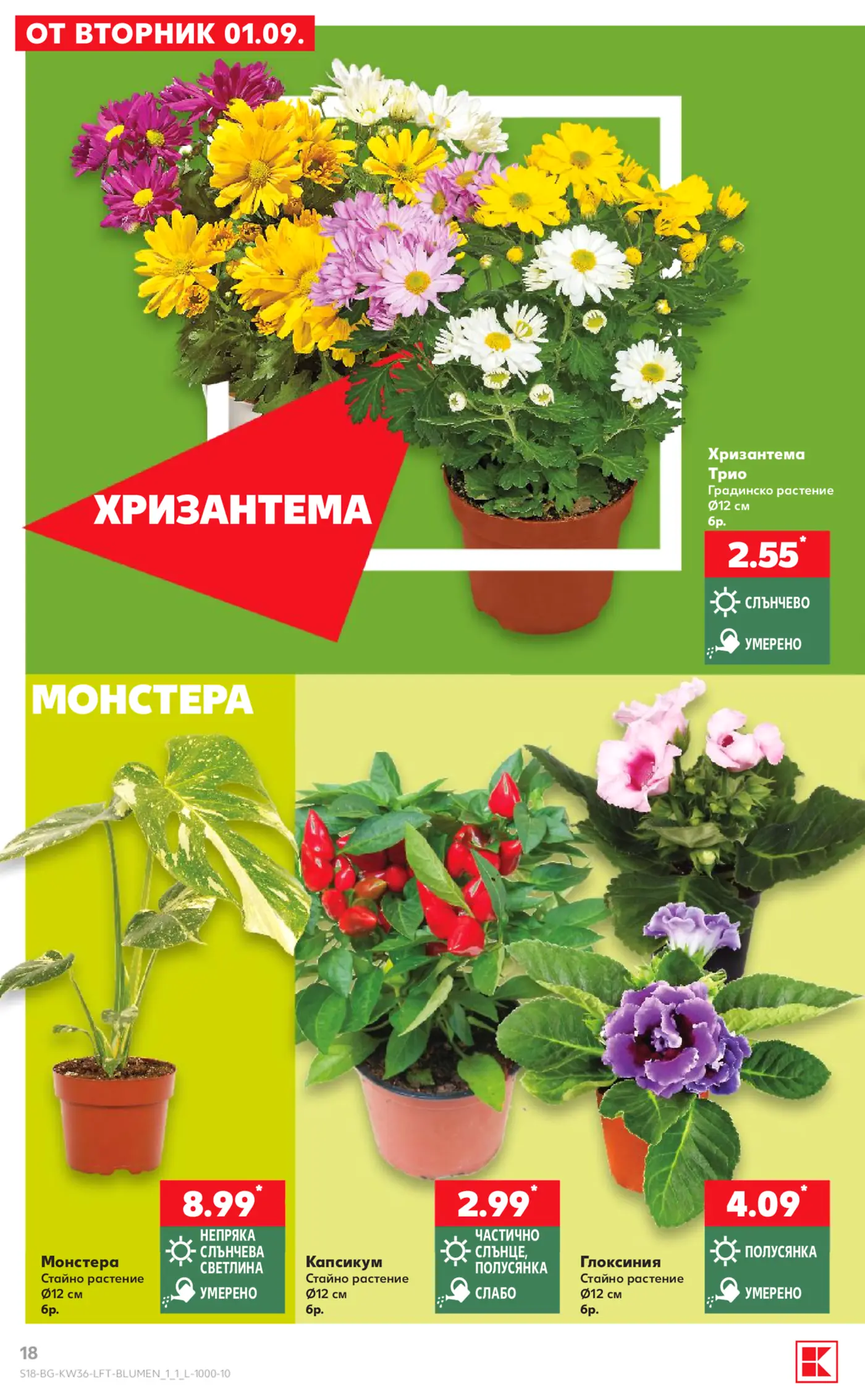 Страница с предложения за цветя и растения от брошура