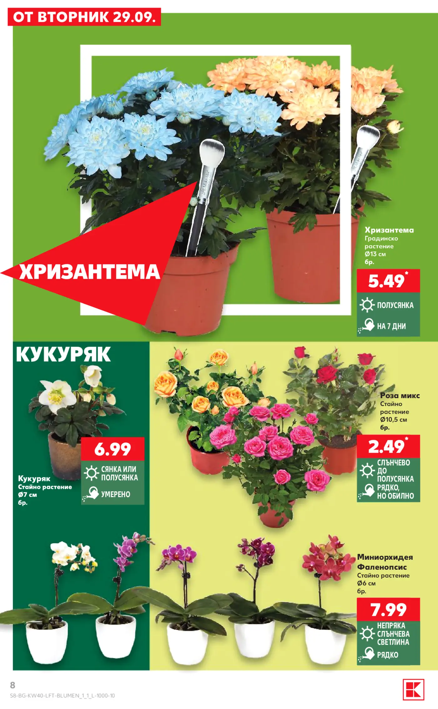 Страница от брошура с цветя и растения