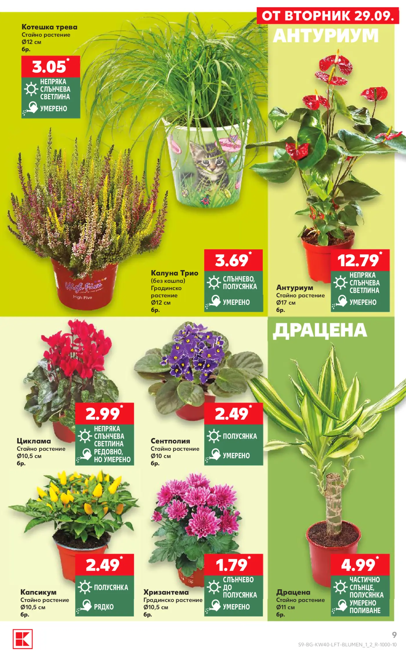 Страница с оферти за стайни и градински растения в брошура