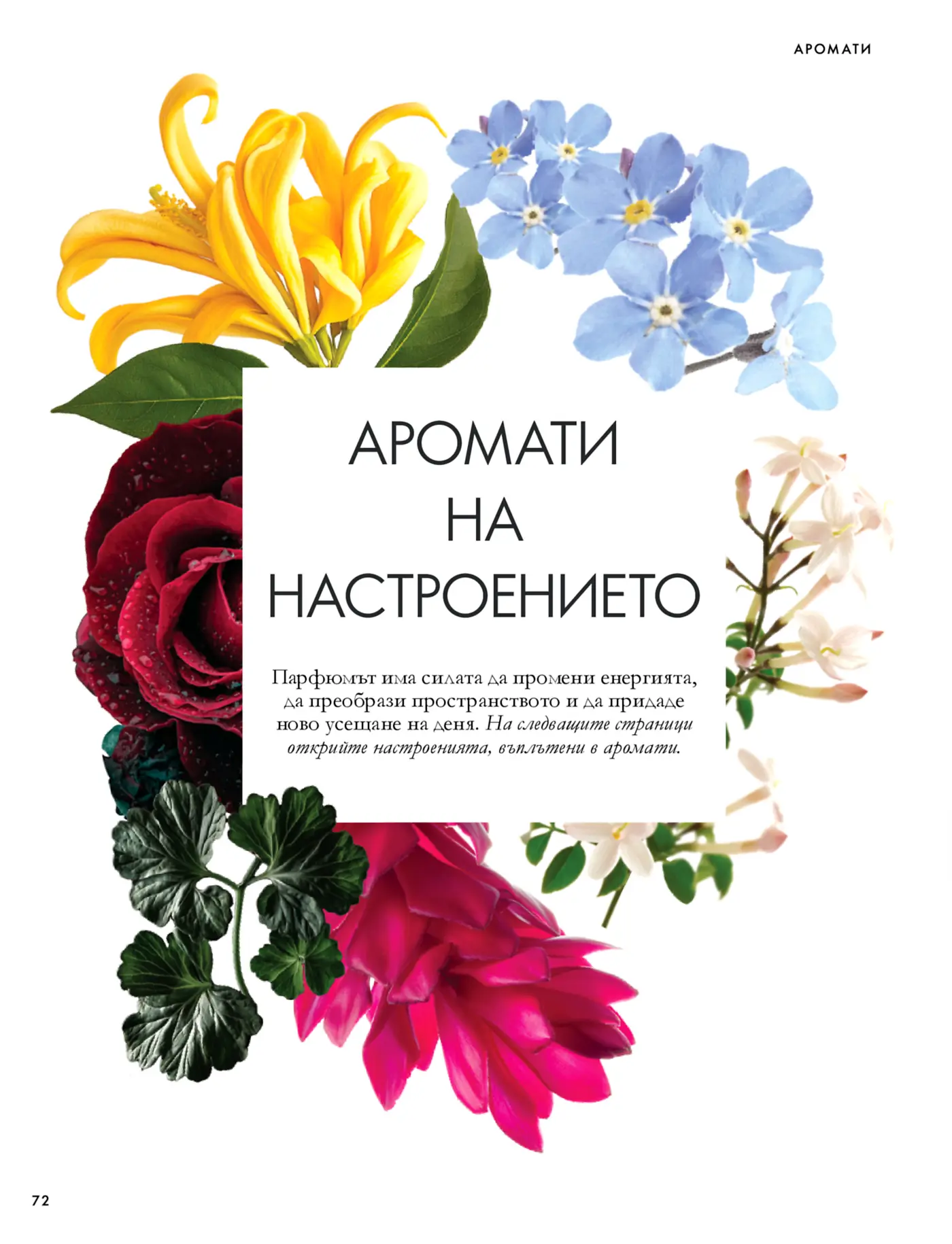 Страница с цветя и надпис Аромати на настроението