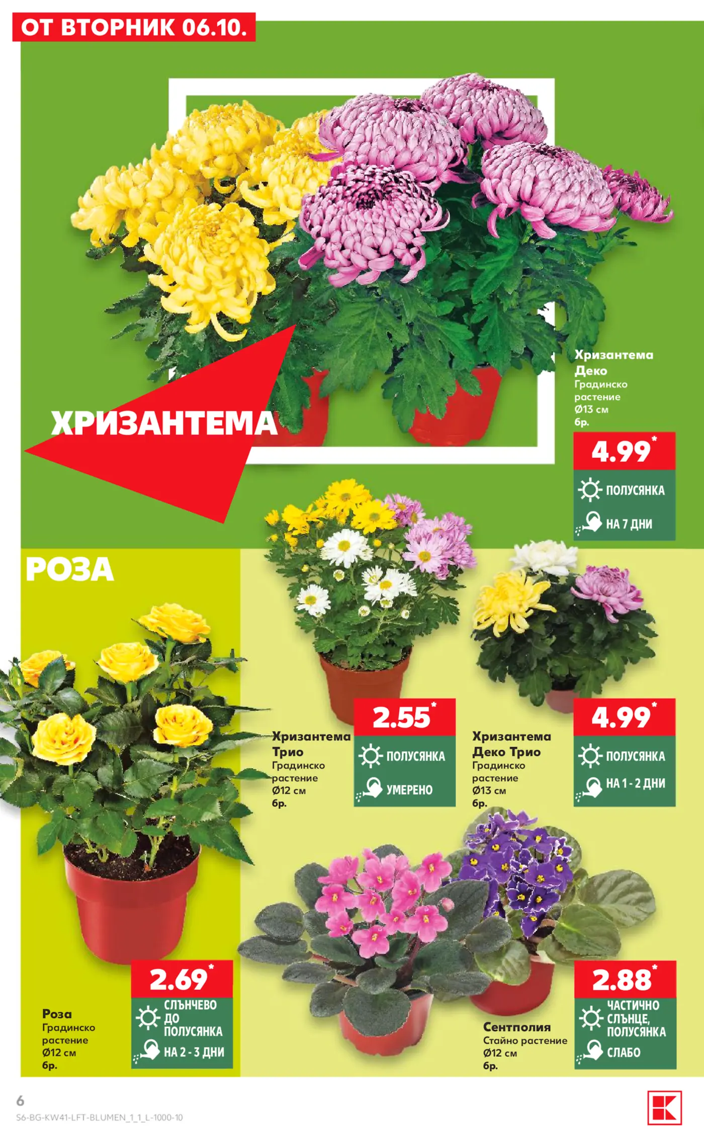 Страница от брошура с градински цветя и растения