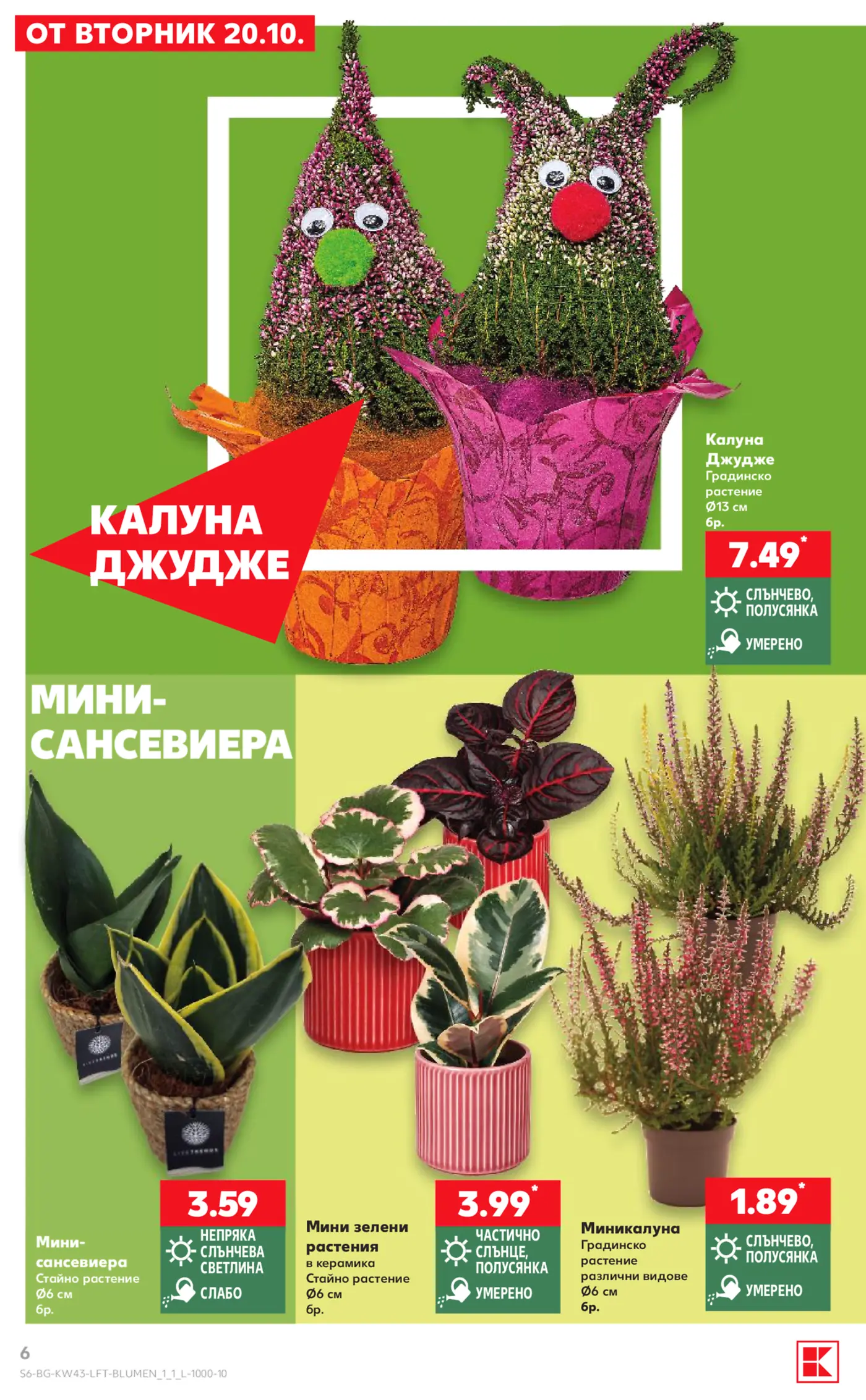 Страница с предложения за цветя и растения от брошура