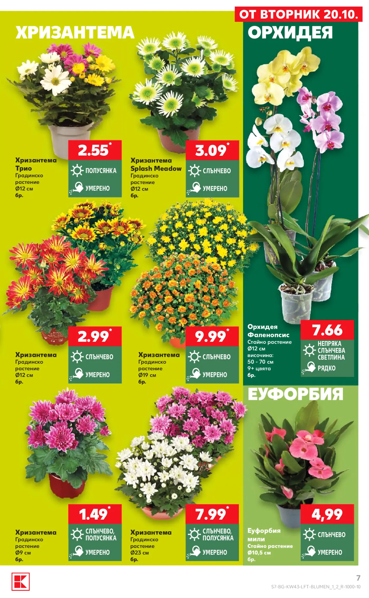 Страница с цветя и растения от брошура