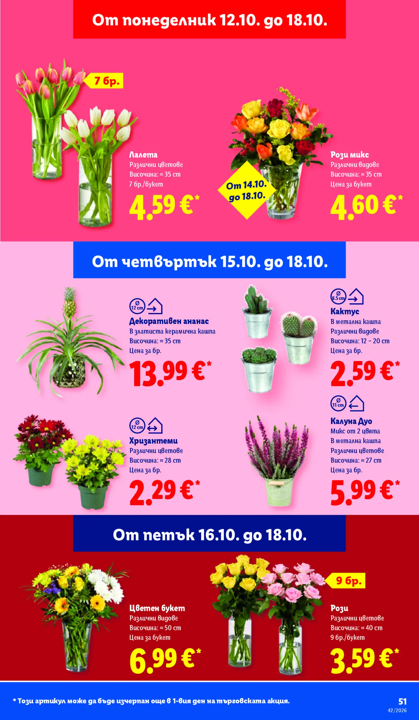 Страница с оферти за цветя и растения
