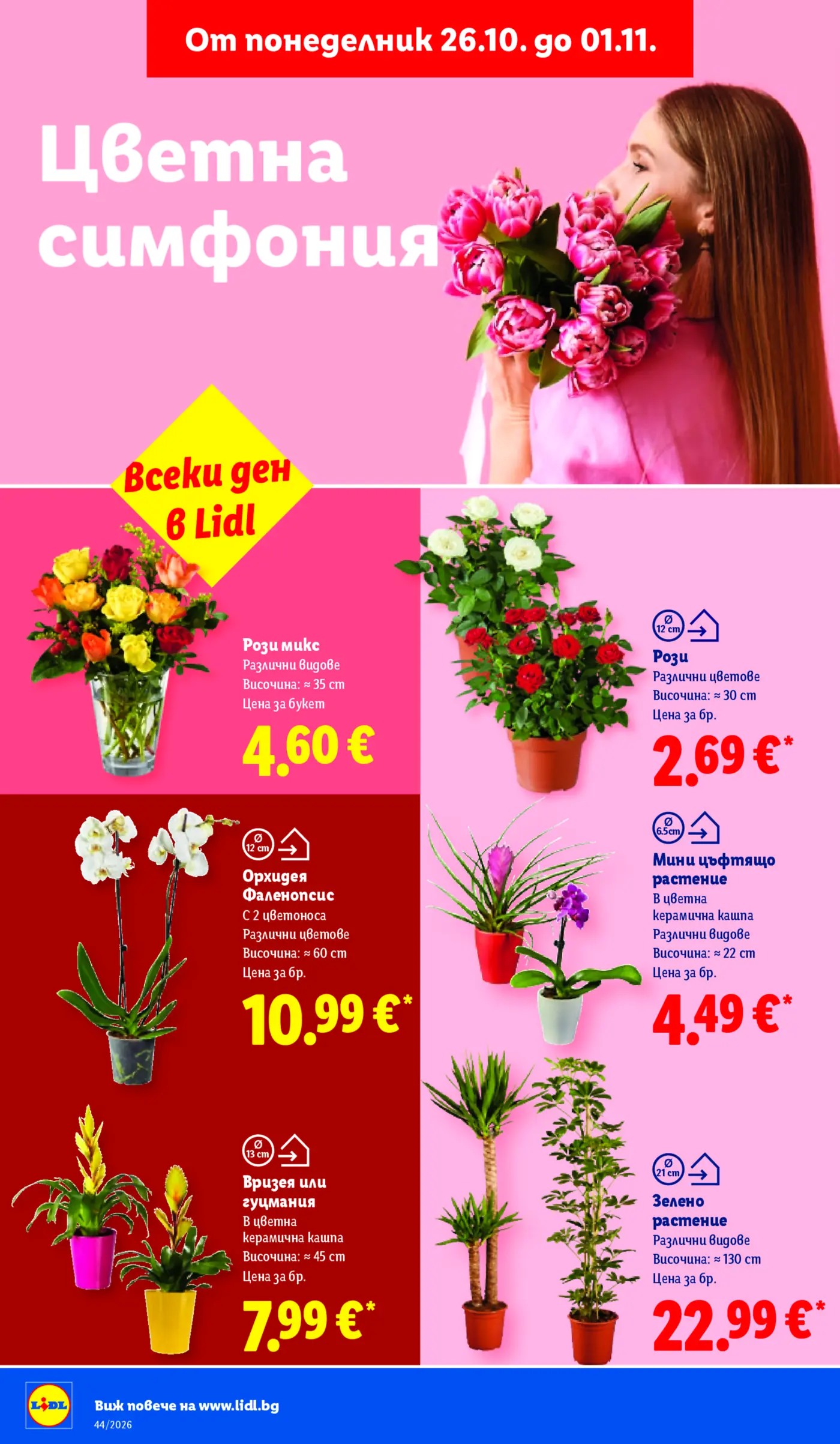 Страница от брошура на Lidl с цветя и растения