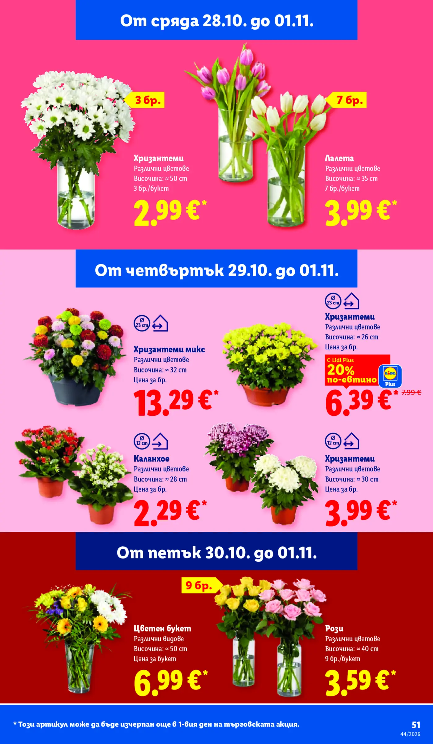Страница с промоции на цветя и букети от Lidl